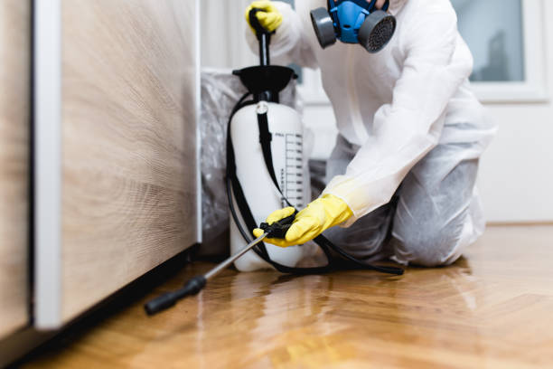Pest Prevention Services in Nazareth, PA