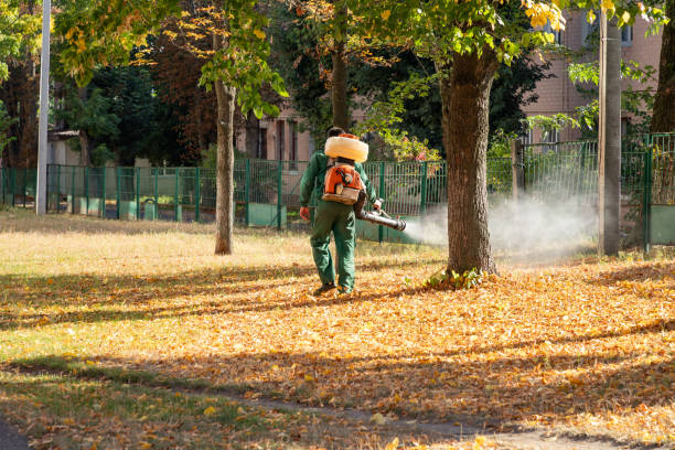 Best Exterminator Services  in Nazareth, PA