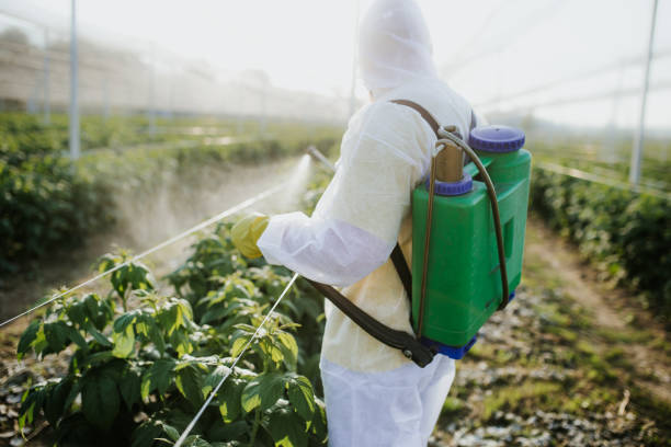Trusted Nazareth, PA Pest Control Experts